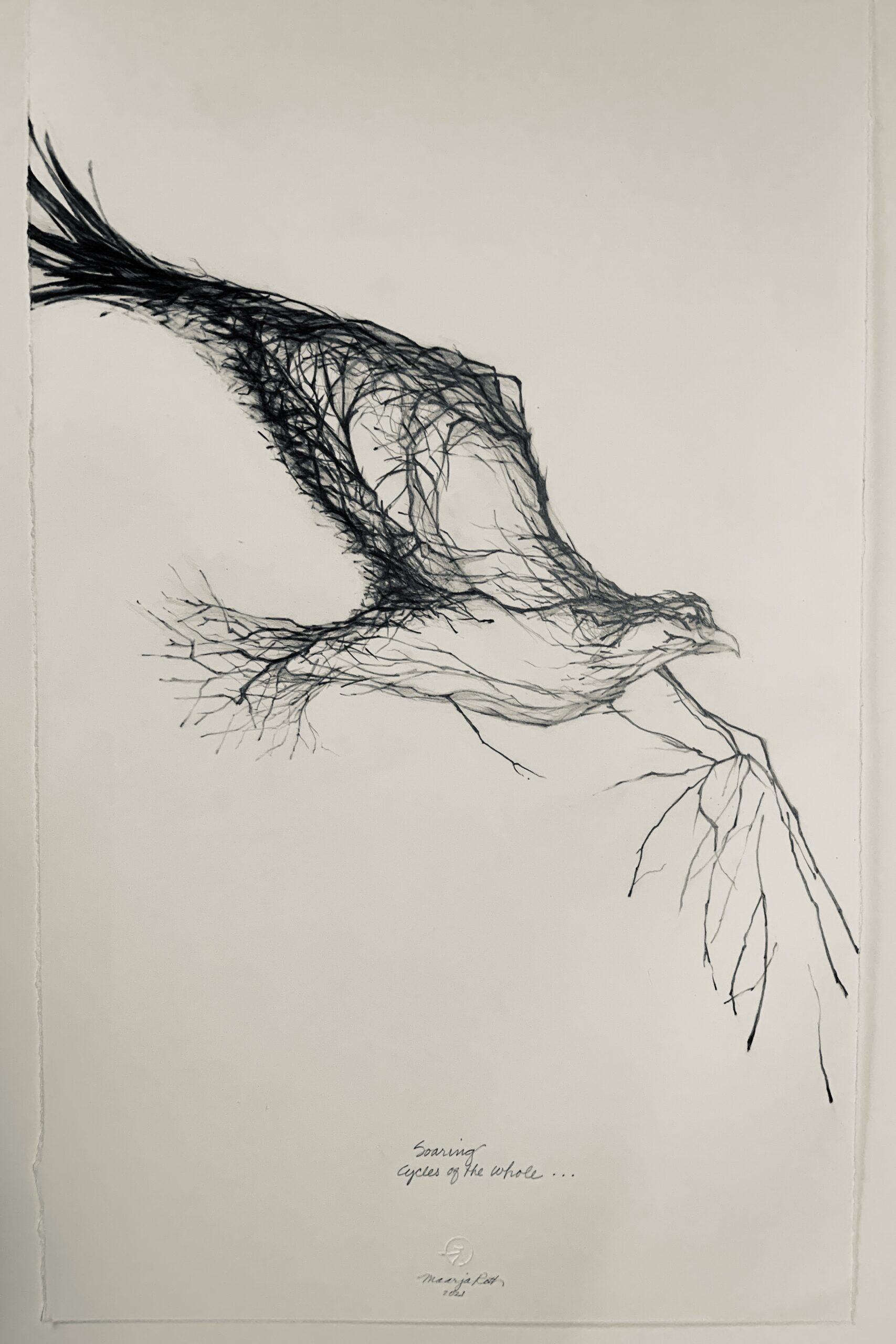 IMG_1870 "Soaring Stretched bare", 30" x 13", pencil drawing