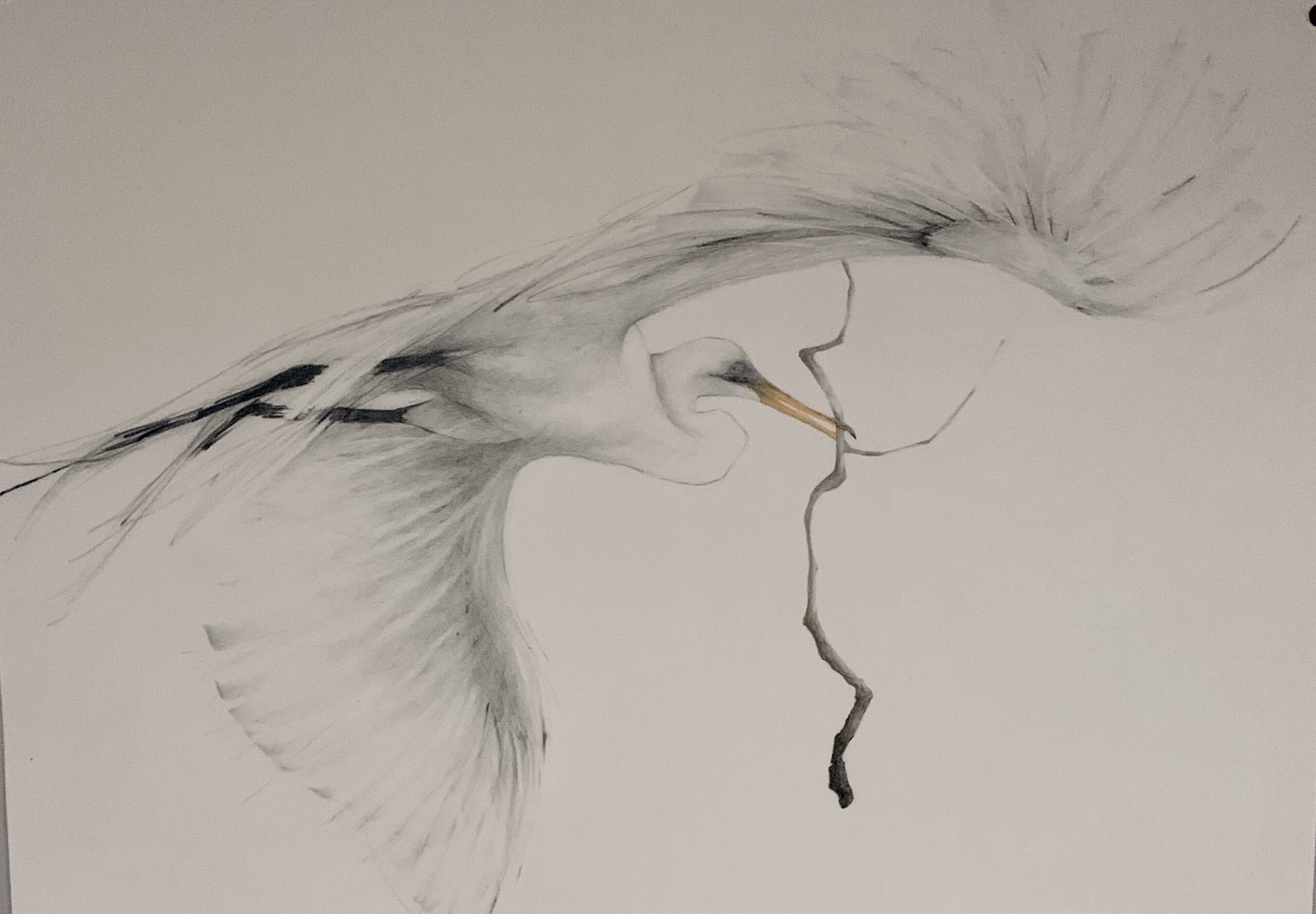 IMG_2279 "Flight", 21" x 30", pencil drawing